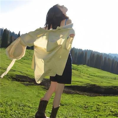 蠢狗记